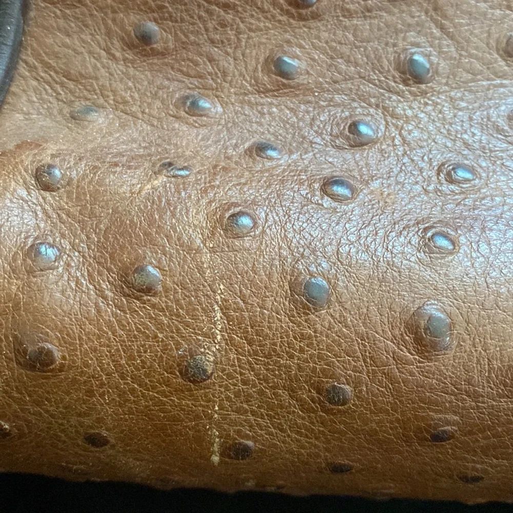 Dooney & Bourke Ostrich Skin Bag - Picture 15 of 15